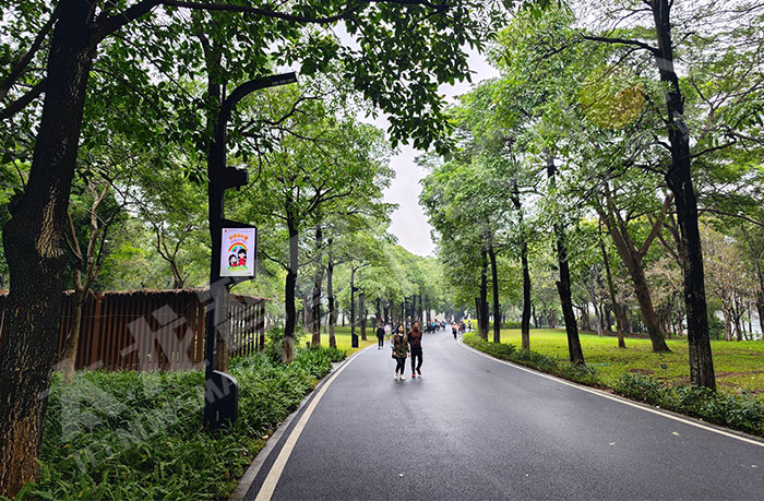 燈桿屏廠家,燈桿屏